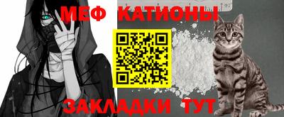 шишки Будённовск
