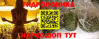 шишки Будённовск