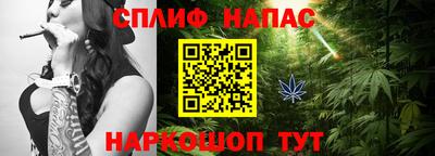 шишки Будённовск