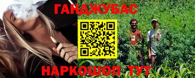 шишки Будённовск