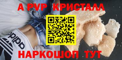 шишки Будённовск