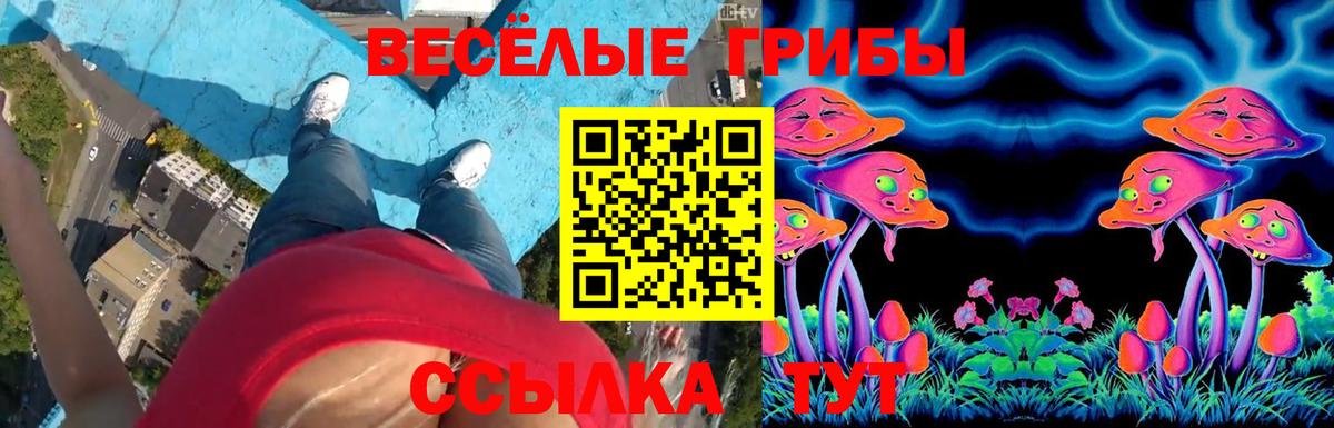 Галлюциногенные грибы Psilocybine cubensis  Вход с VPN  Свободный 